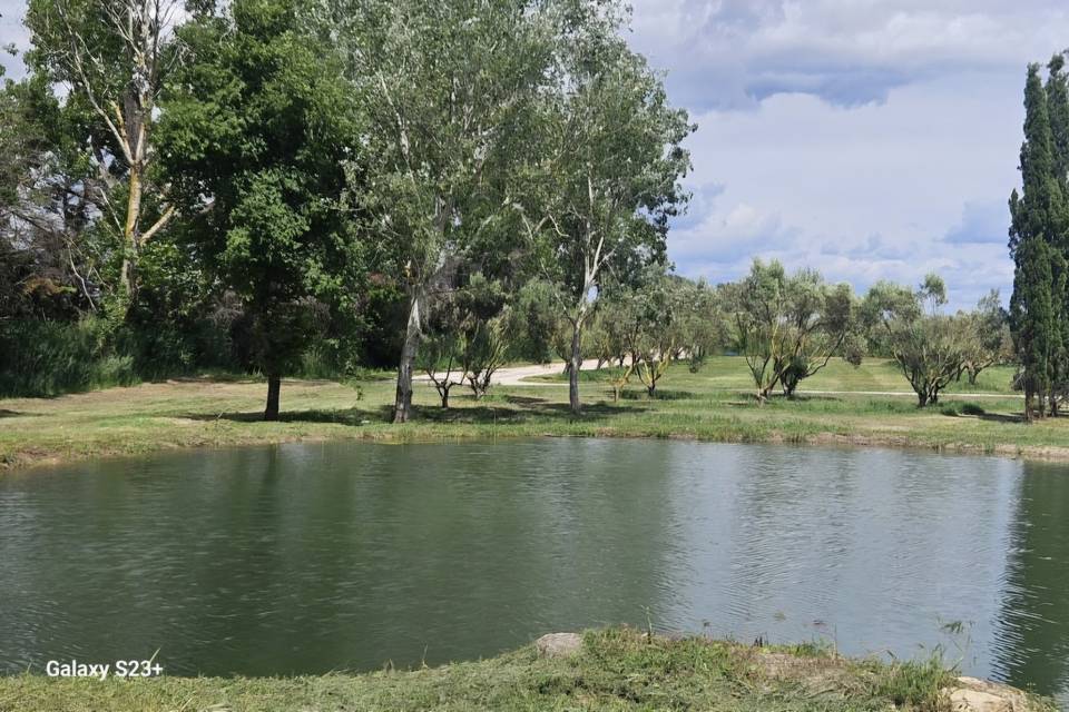 Etang