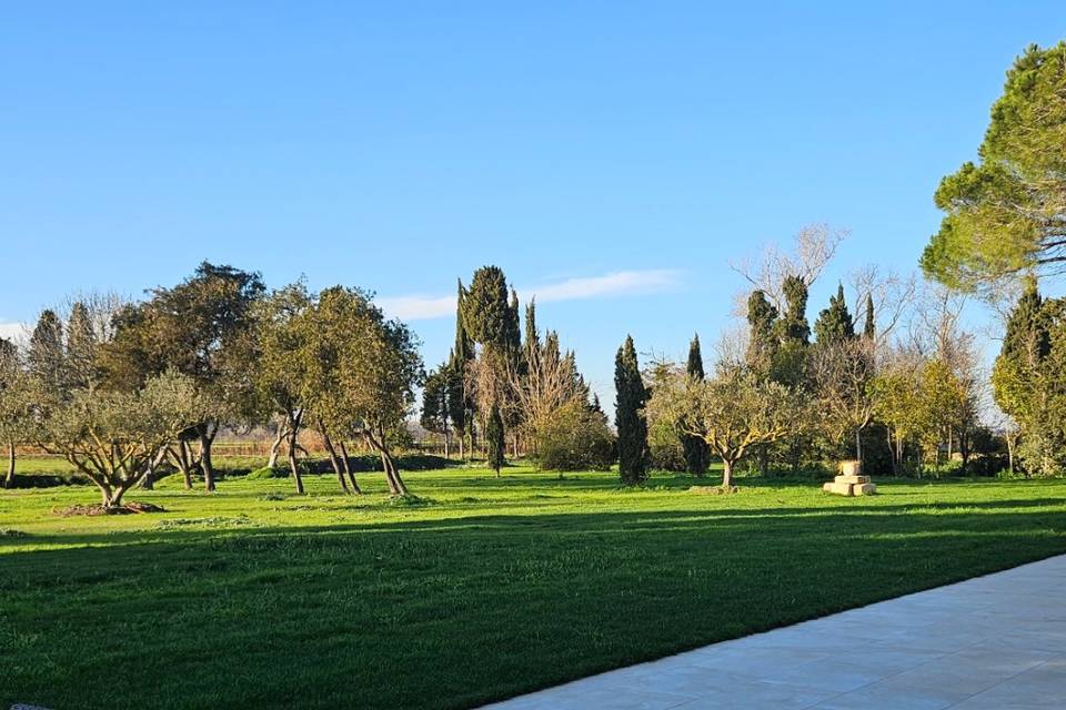 Vue de la terrasse
