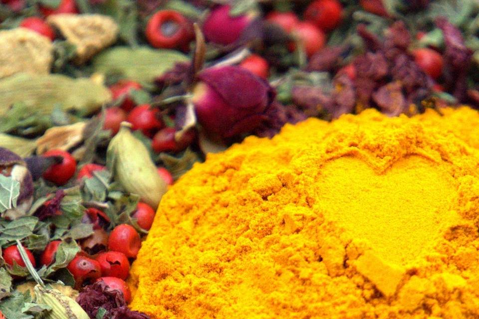 Curcuma
