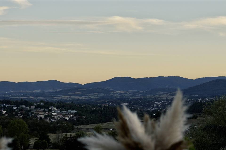 La vue de la terrasse