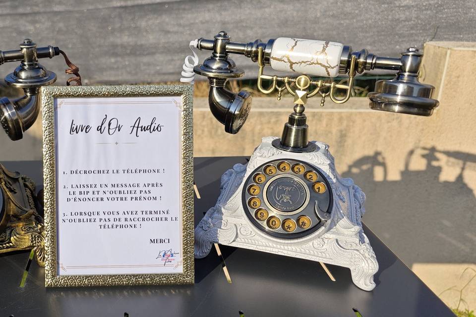 Telephone livre d'or audio