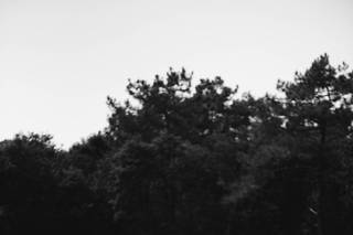Sommerard photographie