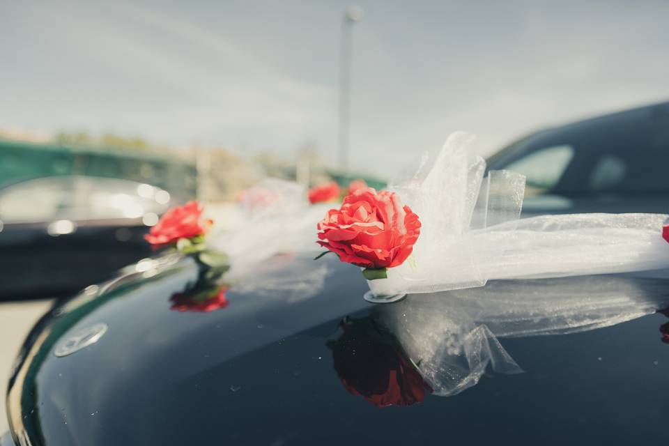Roses sur cortège