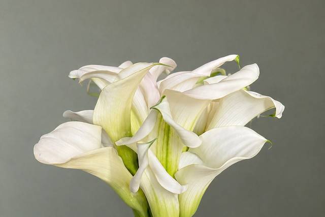 Bouquet de mariée calla