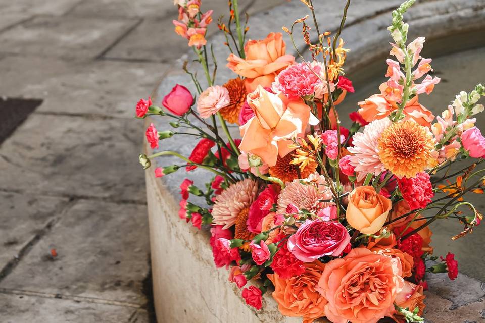 Composition orange fushia