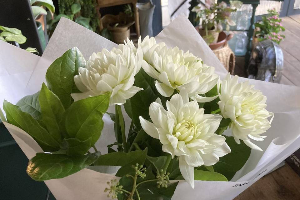 Bouquet dahlia