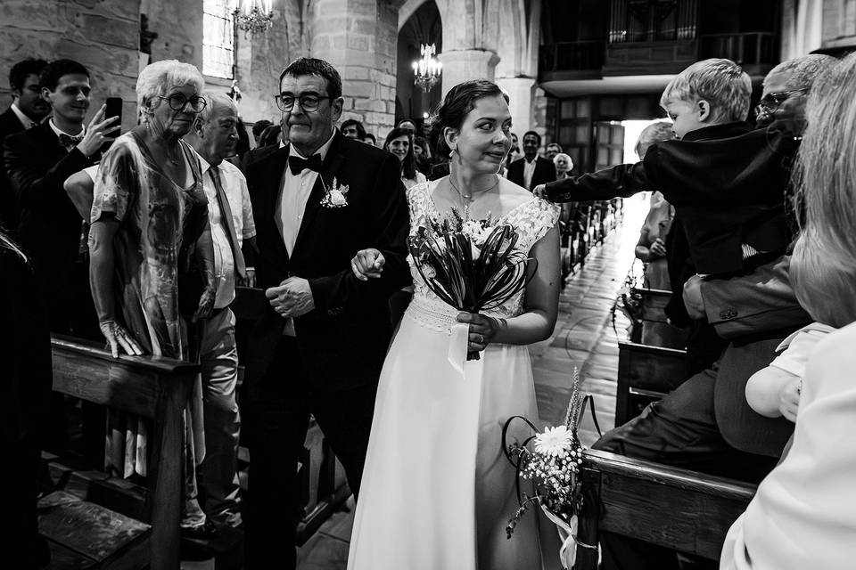 Photographe dans les landes