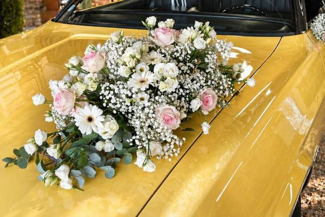 La Fleur des Filles