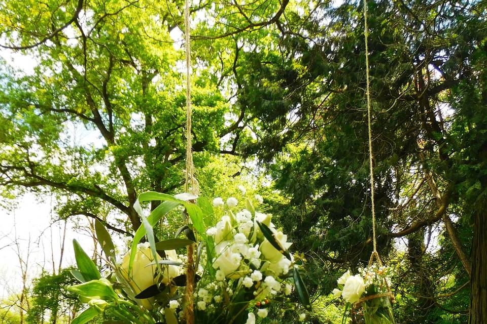 Suspensions dans les arbres