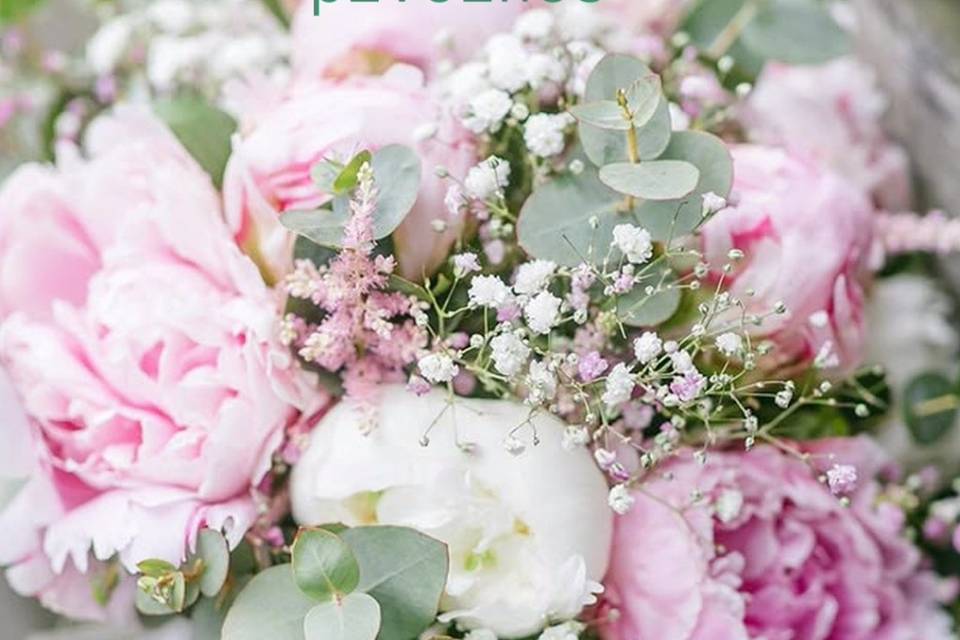 On adore les pivoines