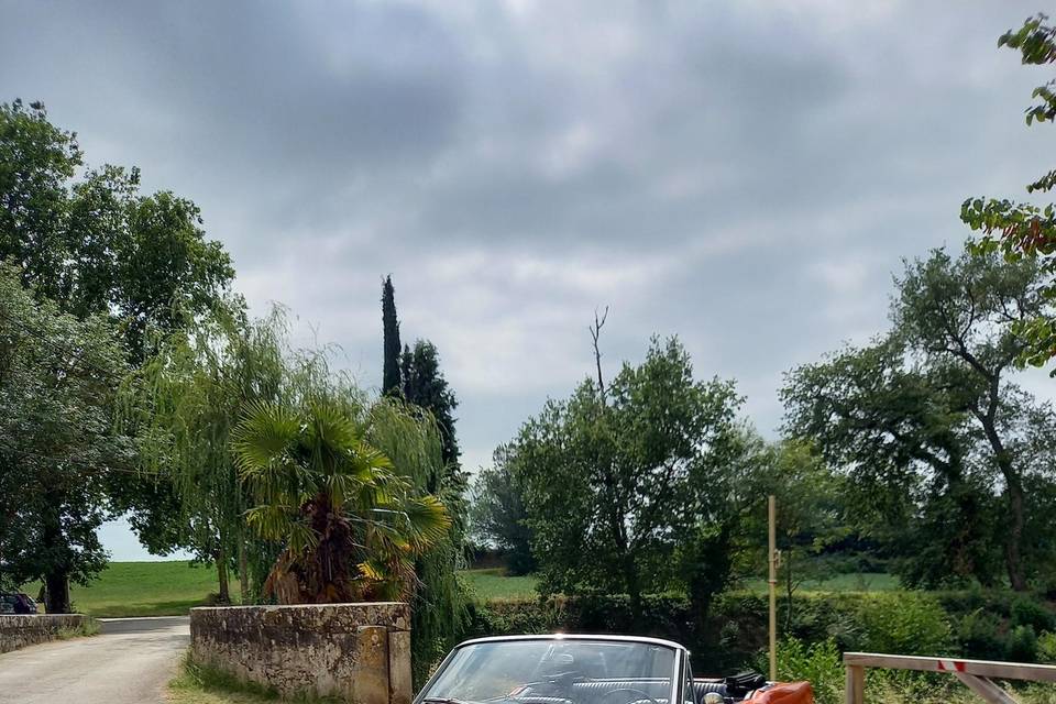 Mustang 65
