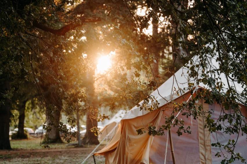 Lodg'ing Nature Camp VDLD