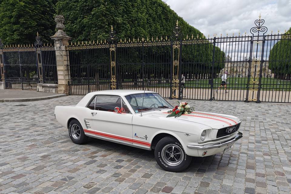 Lenny Jorand  -   Ford Mustang 1966