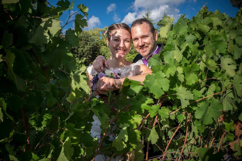 Les mariés dans la vigne