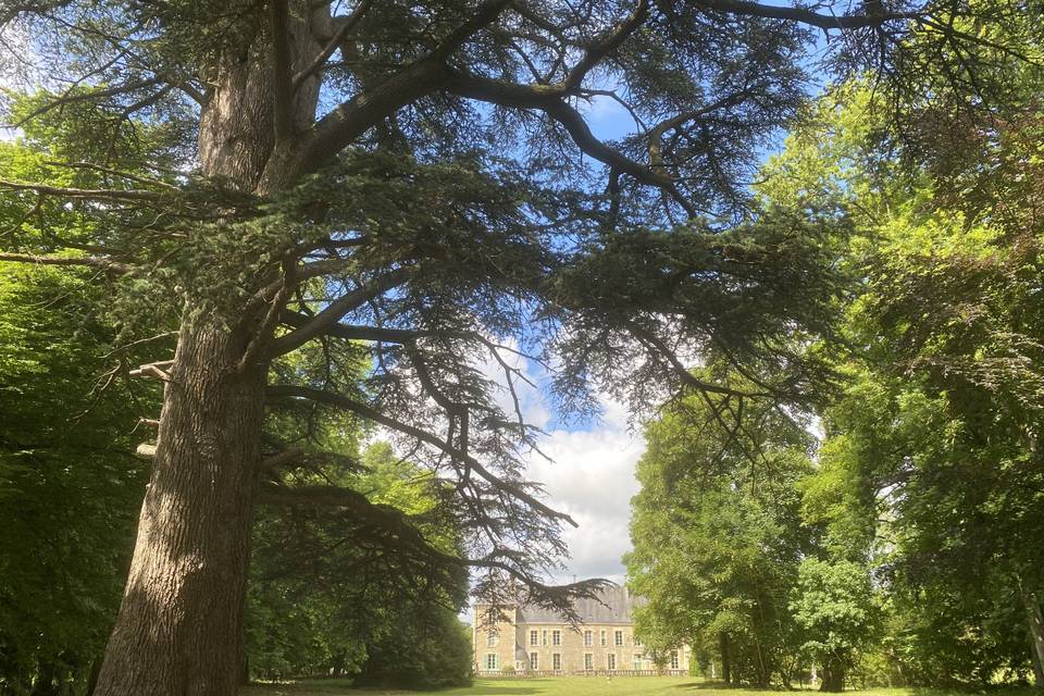 Parc à l’anglaise