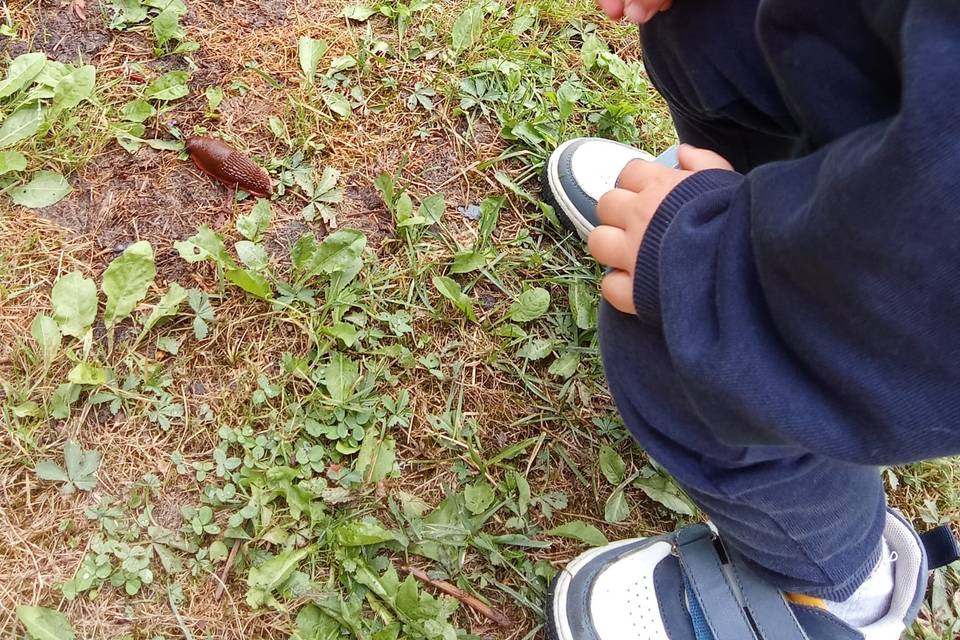 Enfant de 2 ans que j'ai gardé