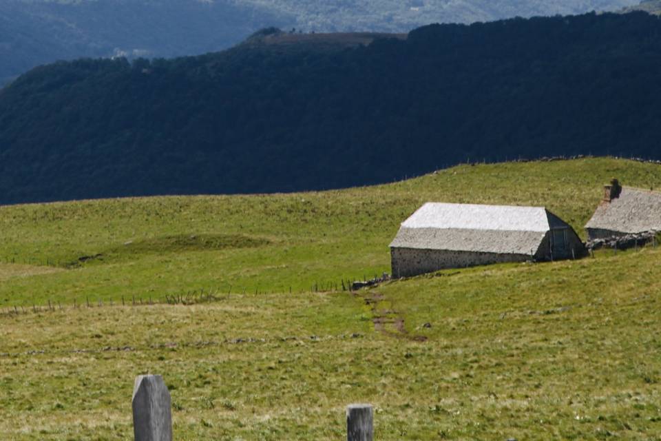 Vue vallée