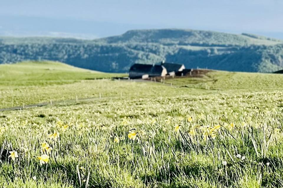 Vue l’Aubrac