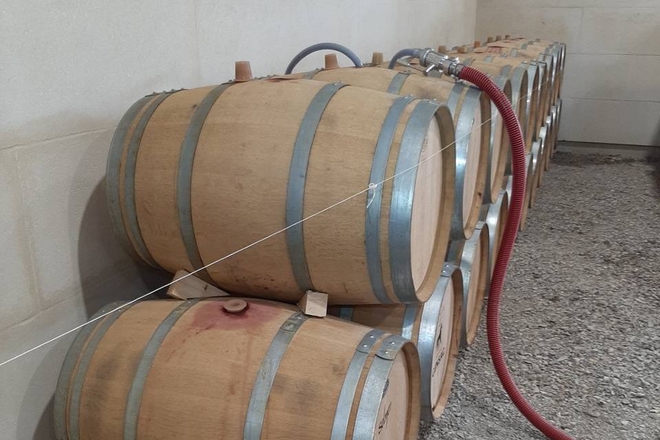 Elevage en barriques