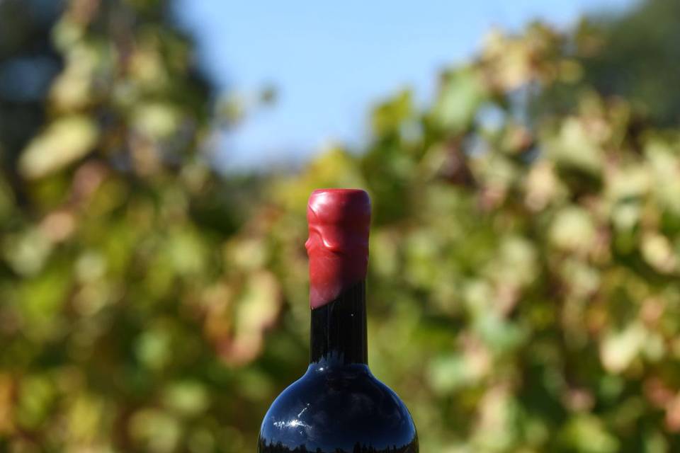 Magnum Merlot/Cabernet
