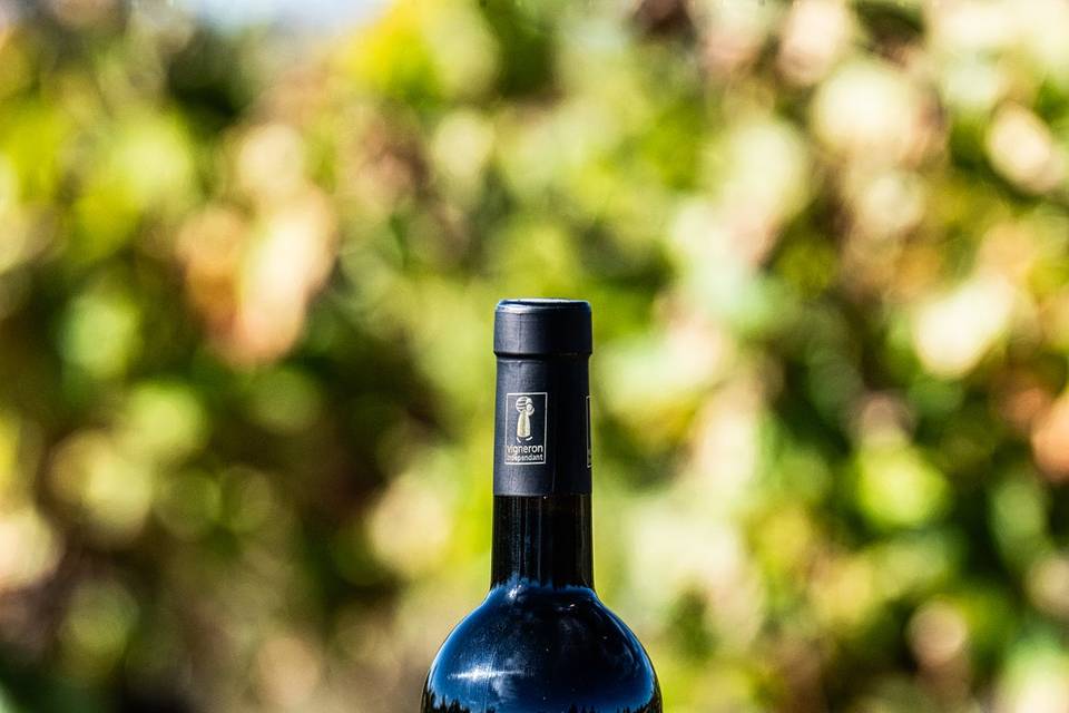 Triptyque Rouge Merlot/Caberne