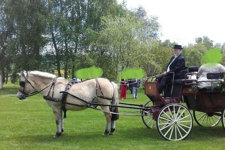 Prestation Au Rythme Des Poney