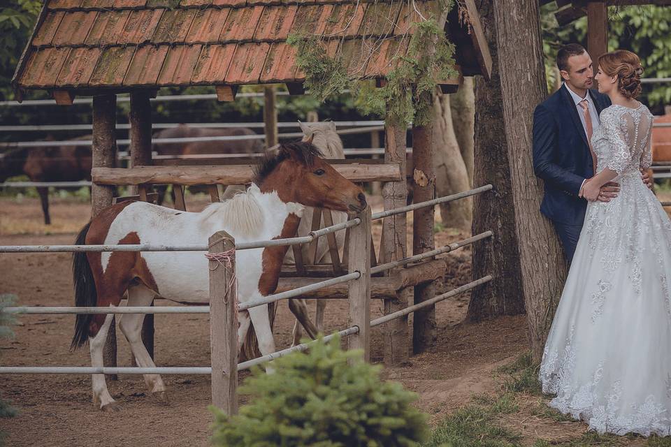 Domaine du Poney Parc