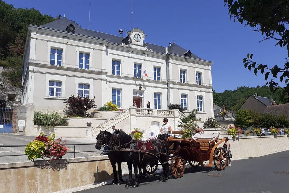 Haras de Muralis