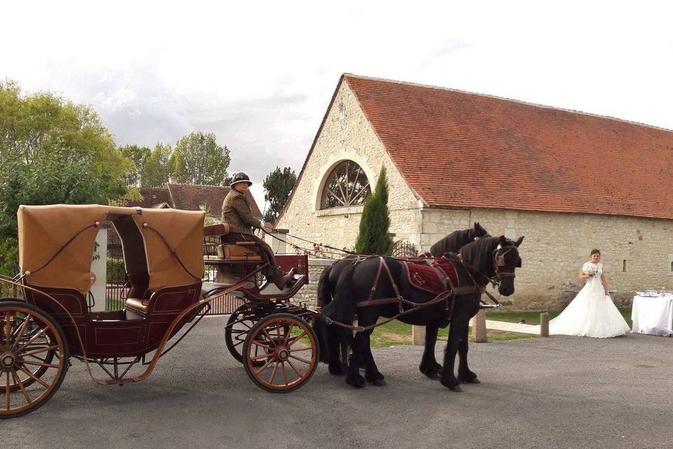 Haras de Muralis