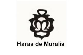 Haras de Muralis