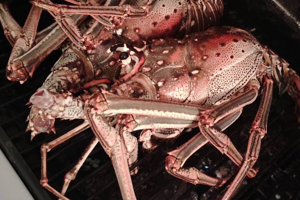 Langouste grillé