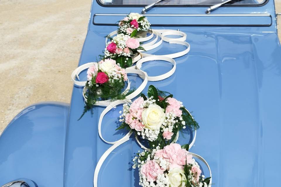 Décor de capot