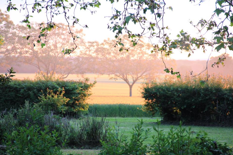 Vue sur le parc