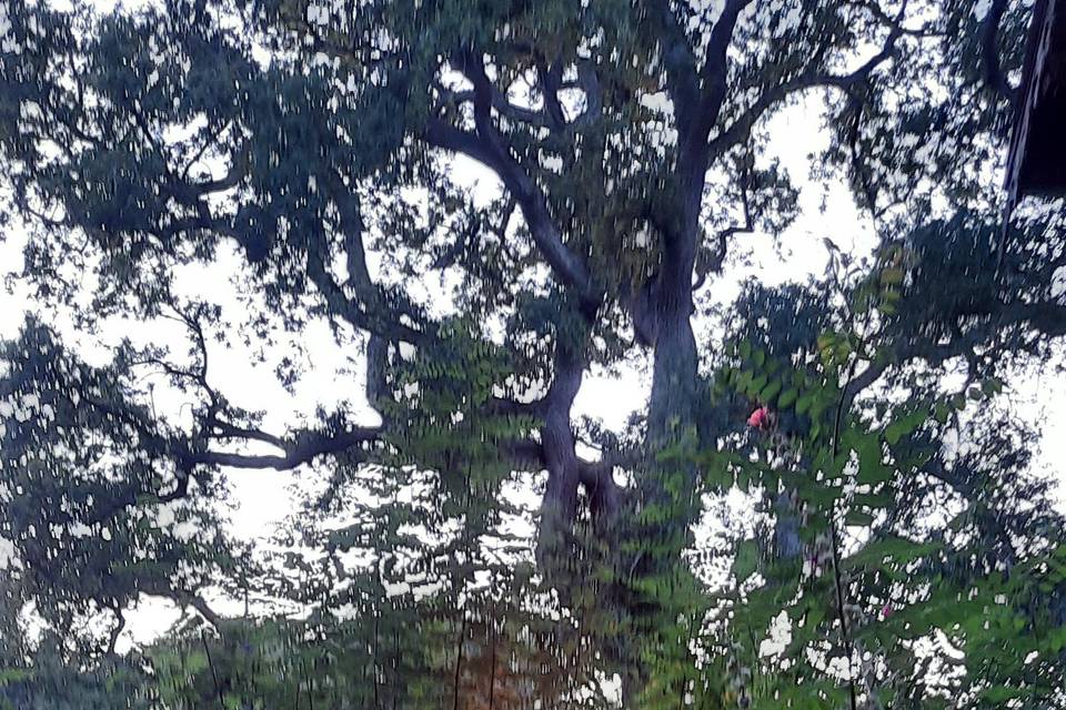Une arche