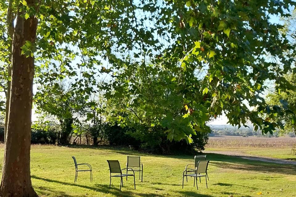 Sous les platanes