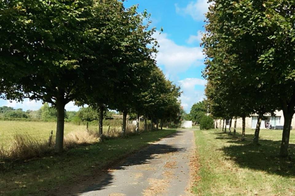 Allée Principale