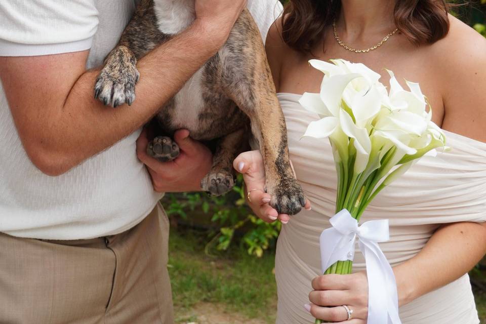 Avec le dog