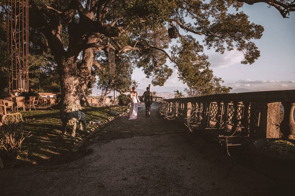 Mariage, ville, Italy, nature