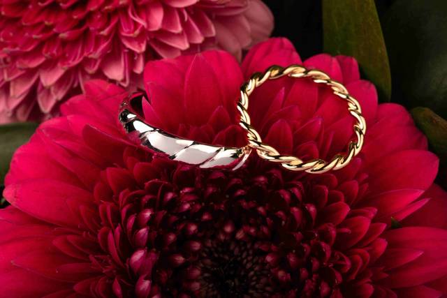 Alliances Rose