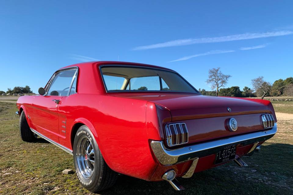 Mustang V8 1966