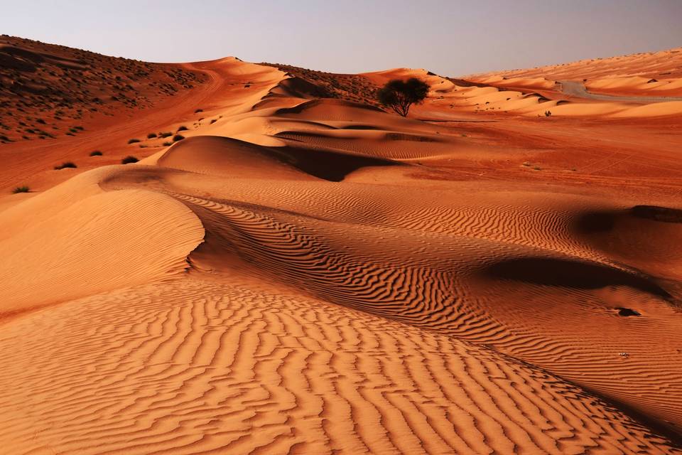 Oman - Le desert