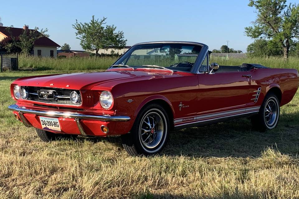 Cars Rental Legend