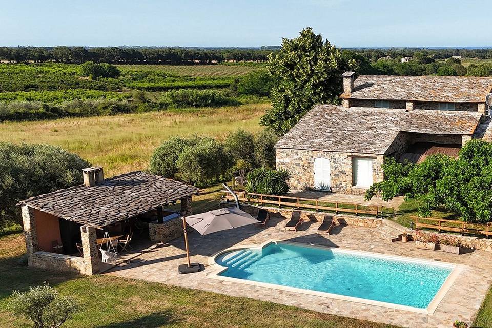 Domaine L’Alivetu