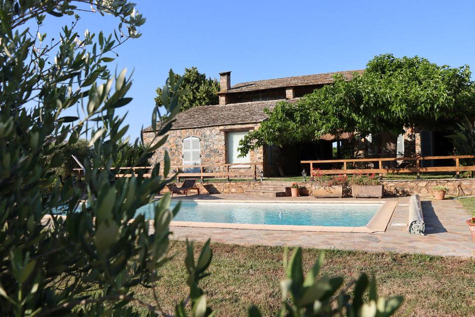 Domaine L’Alivetu