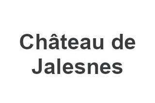 Château de Jalesnes