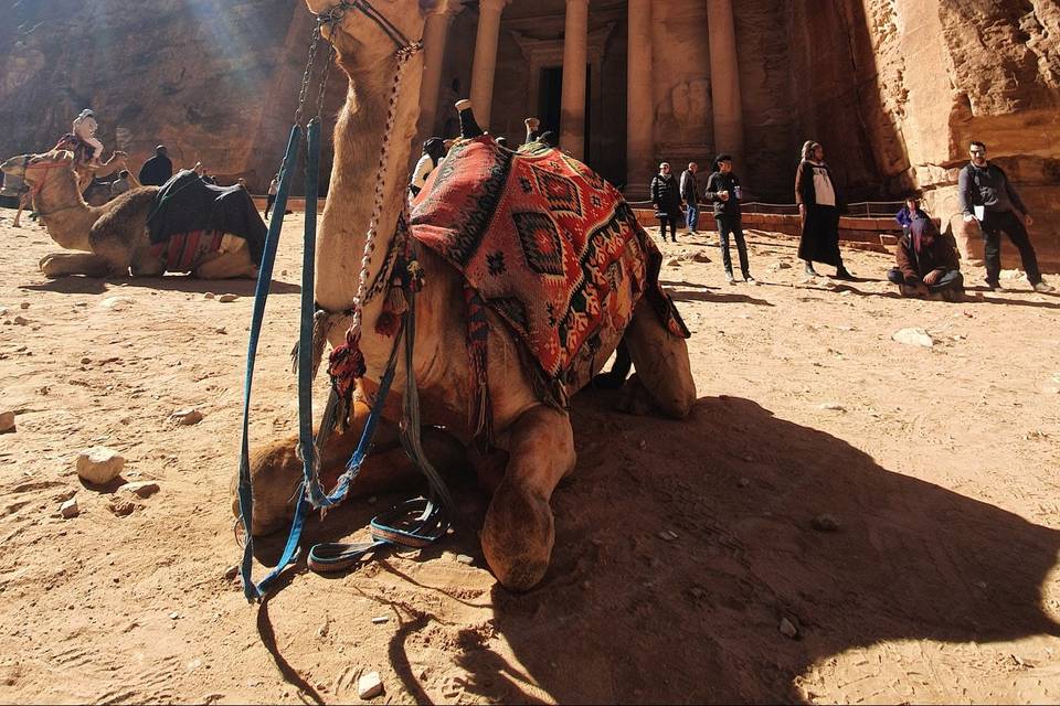 Petra - Jordanie