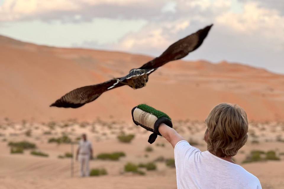 Vol Faucon Abu Dhabi