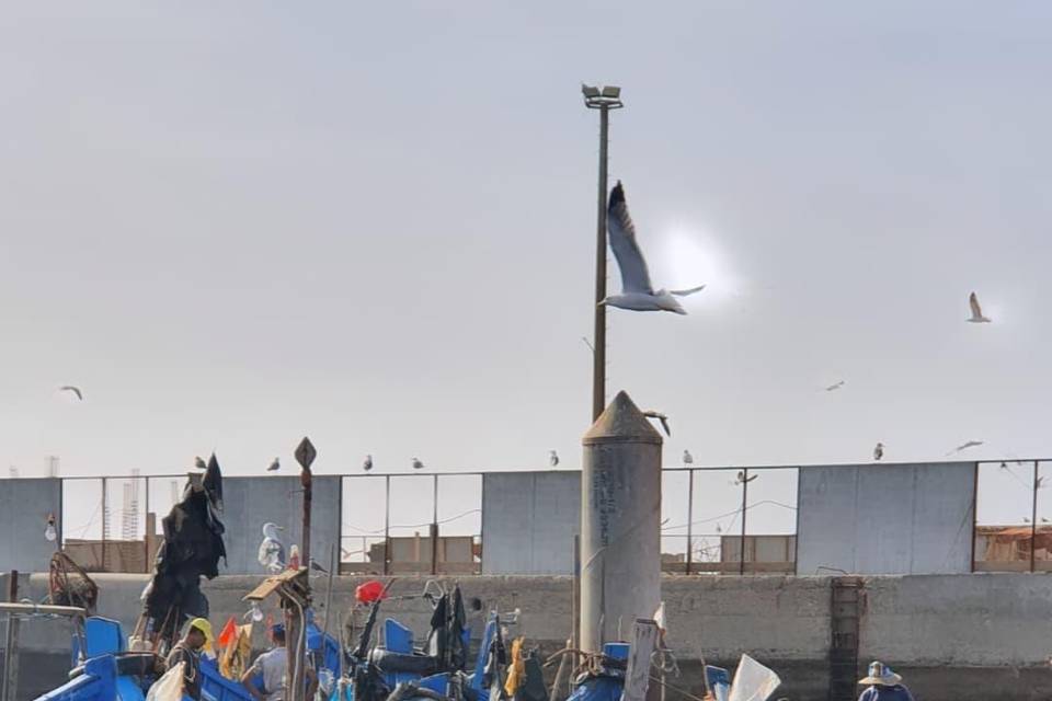 Essaouira