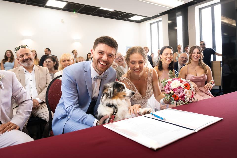 Mairie chien