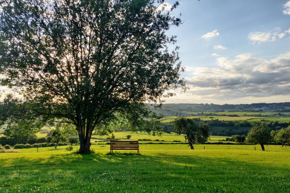 La vue depuis le banc